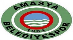 AMASYA BELEDİYESİ İŞ MERKEZİ (PERİYODİK)